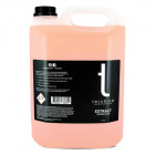 Tershine Extract - Avfetting, alkalisk avfettning, 5 L